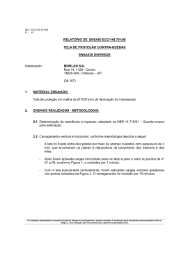 RELATORIO DE ENSAIO ECC/149.701/08 TELA DE PROTEÇÃO