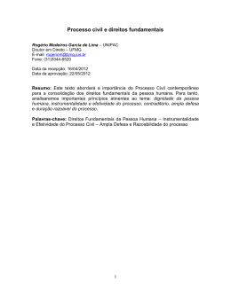 Processo civil e direitos fundamentais