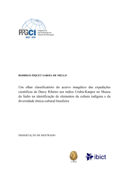 Dissertação Mestrado IBICT - Rodrigo Piquet