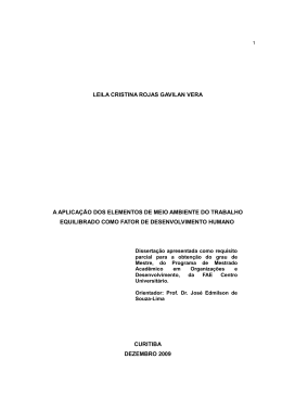 A aplica&ccedil;&atilde;o dos elementos de meio ambiente do trabalho