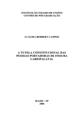 a tutela constitucional das pessoas portadoras de