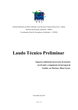 Laudo T&eacute;cnico Preliminar