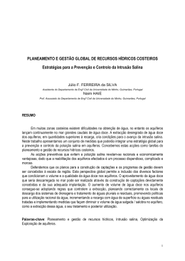 JFS 0002 - Estrategias Controlo Intrus&atilde;o Salina