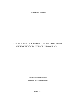 Daniela Santos Rodrigues ANÁLISE DA POROSIDADE