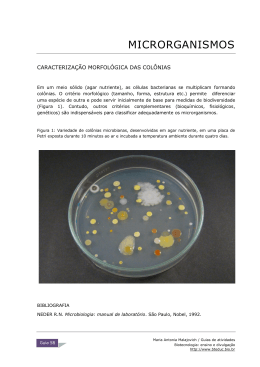 58 Caracterização morfológica das colônias microbianas PDF (P)