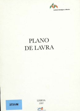 PLANO DE LAVRA