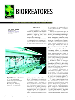 BIORREATORES - Biotecnologia
