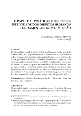 o papel das políticas públicas na efetividade dos direitos humanos