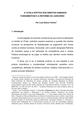 a tutela efetiva dos direitos humanos fundamentais e