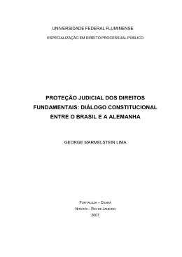 prote&ccedil;&atilde;o judicial dos direitos fundamentais: di&aacute;logo