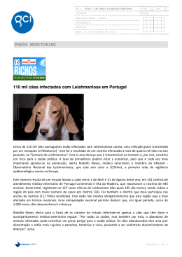 110 mil cães infectados com Leishmaniose em Portugal