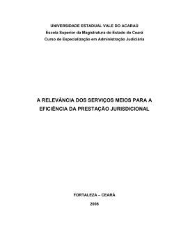 a relev&acirc;ncia dos servi&ccedil;os meios para a efici&ecirc;ncia da presta&ccedil;&atilde;o