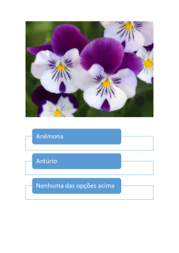 Anêmona Antúrio Nenhuma das opções acima