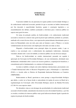 INTRODU&Ccedil;&Atilde;O Rodier Barata O presente trabalho faz um
