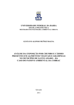 Documento Final Dissertação Gustavo Magna