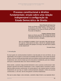 Processo constitucional e direitos fundamentais