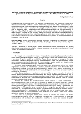 A efic&aacute;cia horizontal dos direitos fundamentais no plano processual