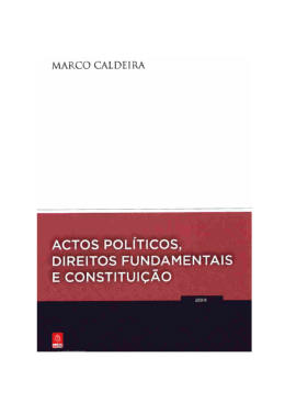 Atos políticos, direitos fundamentais e constituição