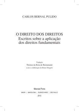 Escritos sobre a aplica&ccedil;&atilde;o dos direitos fundamentais