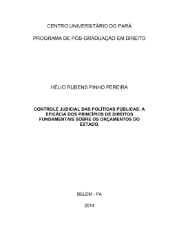 a efic&aacute;cia dos princ&iacute;pios de direitos fundamentais sobre os