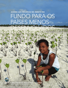 FUNDO PARA OS PA&Iacute;SES MENOS DESENVOLVIDOS