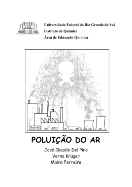 POLUI&Ccedil;&Atilde;O DO AR