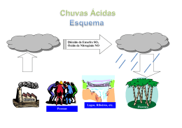 Di&oacute;xido de Enxofre SO2 &Oacute;xido de Nitrog&eacute;nio NO Floresta Lagos