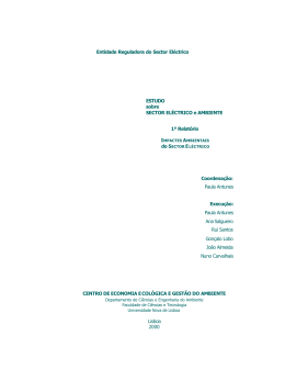 Estudo sobre o sector el&eacute;ctrico e ambiente. 1&ordm; Relat&oacute;rio