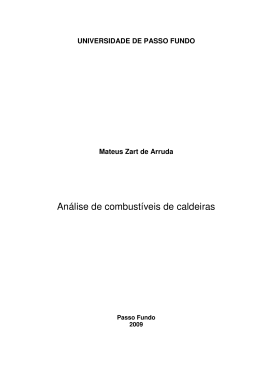 MATEUS ZART DE ARRUDA - Universidade de Passo Fundo