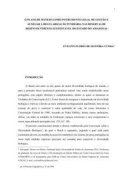 Evelinn Flores de Oliveira Cunha
