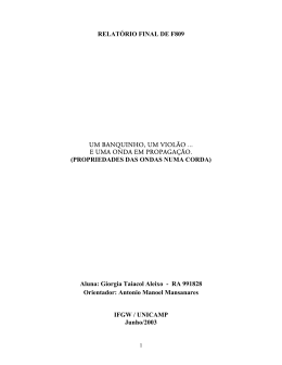 Propriedades das ondas numa corda - IFGW