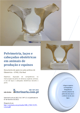 Pelvimetria, la&ccedil;os e cabe&ccedil;adas obst&eacute;tricas em animais de produ&ccedil;&atilde;o