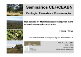 Seminários CEF/CEABN
