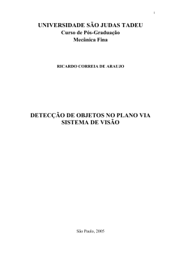 Detec&ccedil;&atilde;o de Objetos no Plano via Sistema de Vis&atilde;o