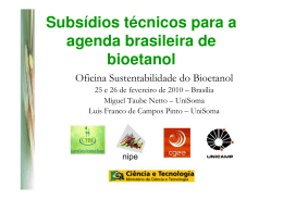 Subsídios técnicos para a agenda brasileira de bioetanol