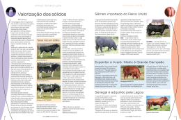 Valoriza&ccedil;&atilde;o dos s&oacute;lidos