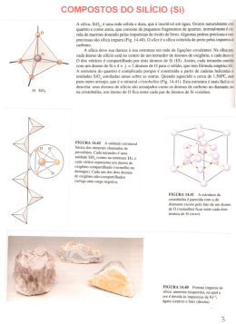 COMPOSTOS DO SIL&Iacute;CIO (Si)