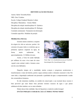 IDENTIFICA&Ccedil;&Atilde;O DO FOLHAS Autora: Salete Terezinha Klein NRE