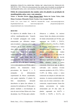 Efeito do armazenamento das mudas antes do plantio na produ&ccedil;&atilde;o