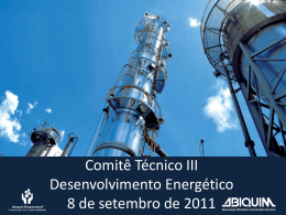 Apresenta&ccedil;&atilde;o Abiquim SET_2011