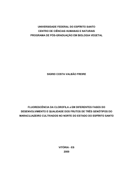 Disserta&ccedil;&atilde;o corrigida - Pr&oacute;-Reitoria de Pesquisa e P&oacute;s
