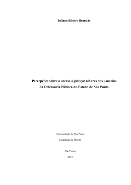 Percepções sobre o acesso à justiça: olhares dos usuários da