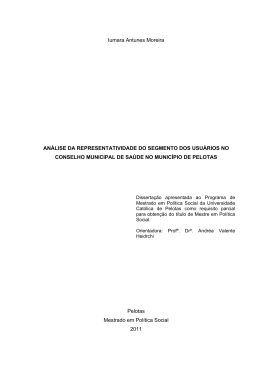 IUMARA.MOREIRA_An&aacute;lise da Representatividade do Segmento