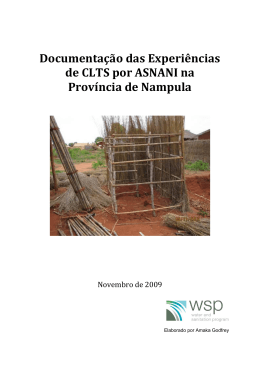 Documenta&ccedil;&atilde;o das experi&ecirc;ncias de CLTS de ASNANI na Prov&iacute;ncia