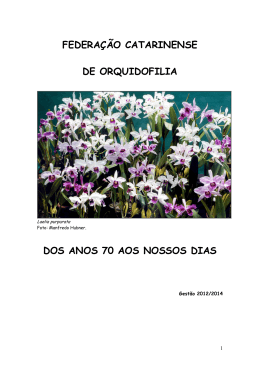 Federa&ccedil;&atilde;o Catarinense de Orquidofilia