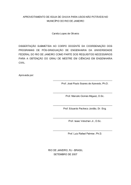 - Programa de Engenharia Civil