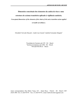 Dimens&otilde;es conceituais dos elementos da cadeia de risco e uma