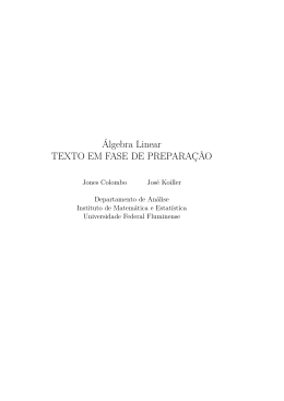 Álgebra Linear - Departamento de Análise