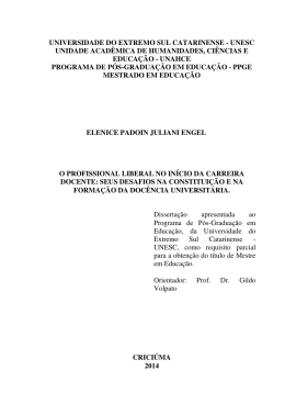 Disserta&ccedil;&atilde;o