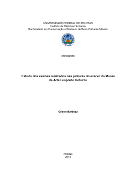 Estudo dos exames realizados nas pinturas do acervo do Museu de